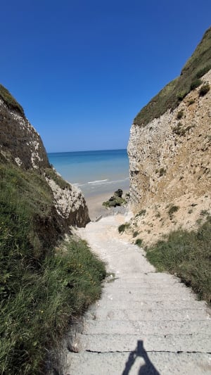 De Sainte Marguerite sur Mer à Vasterival par le Phare d'Ailly - Sainte-Marguerite-sur-Mer - 18