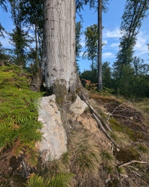 Fleury, sur le thème de l'eau - Fleury - 4