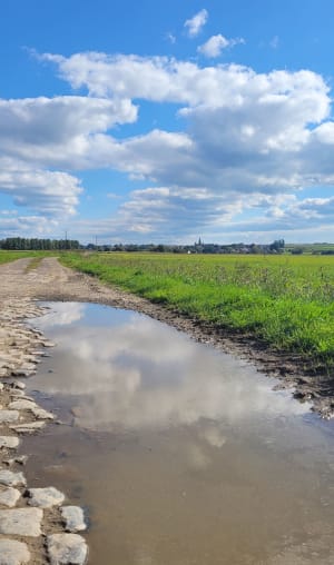 Balade dans les champs à Aulnoy-lez-Valenciennes - MARIE - 3
