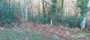 Sentier de la Croix de Millet - Pleaux - 14