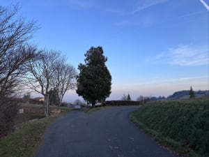 Sentier des crêtes - Ville-sur-Jarnioux - 11