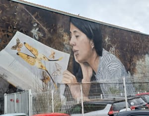 Street art à Boulogne sur mer - Boulogne-sur-Mer - 15