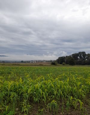 Paysages franco-suisses: Soral - Thairy - Laconnex - Saint-Julien-en-Genevois - 7