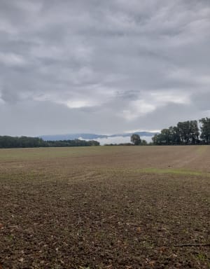 Paysages franco-suisses: Soral - Thairy - Laconnex - Saint-Julien-en-Genevois - 8