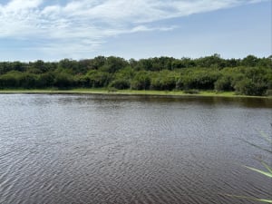 Réserve de la Maillouèyre : dunes, forêts et vues sur la mer - Alex - 29