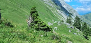 Lac Lessy, een alpiene schoonheid - Le chinaillon - 48