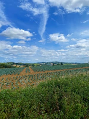 Circuit autour du Monastère - Berthen - 8