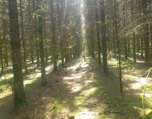 Descente et montée aux Mazures - Les Mazures - 7
