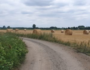 Balade dans la campagne de Vred Flines et Lallaing - Nathalie - 9