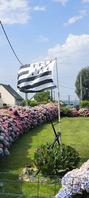 Le grand tour de Carantec - Carantec - 34
