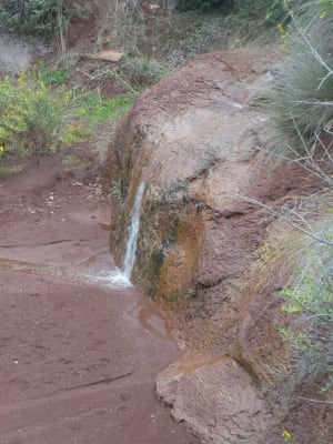 Devil's Canyon en de schoonheid van de rode aarde van Hérault - Saint-Saturnin-de-Lucian - 52