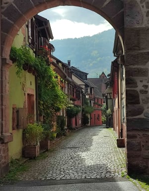 Boucle entre Ammerschwihr et Kayserberg - Ammerschwihr - 9