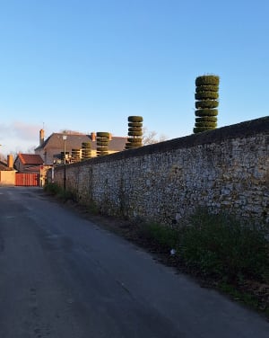 Tour d'Aubigné-sur-Layon par la Croix Blanche - Aubigné-sur-Layon - 6