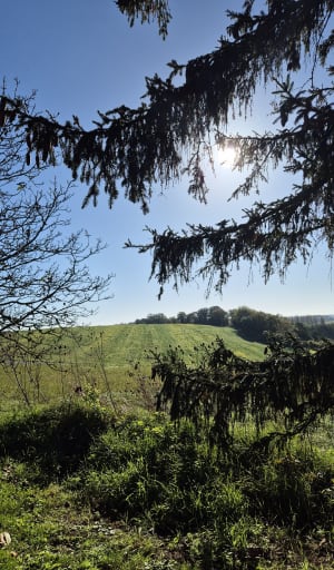 Sortie - Vallery - 3