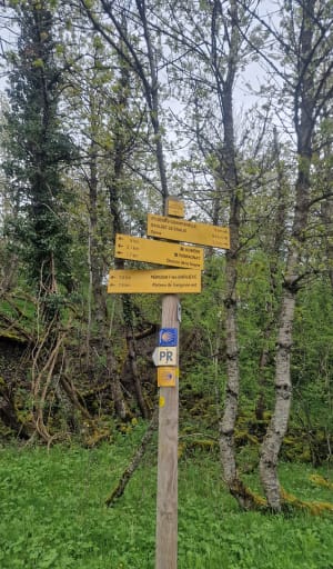 Balade au plateau de Gergovie et secrets d'Histoire - Romagnat, Clermont-Ferrand - 3