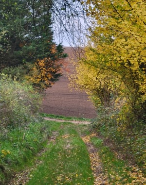 Balade autour de Sailly-au-Bois - Sailly-au-Bois - 4