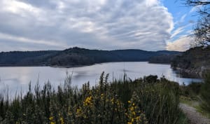 Lac du Guerlédan par le barrage et les landes de Trévejan - Guerlédan - 18