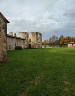 Autour de L’Hermenault par les Chaumes - L'Hermenault - 9
