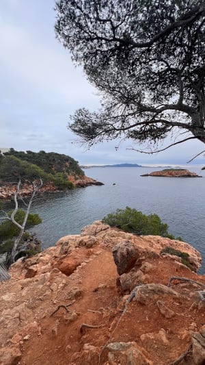 Kustpad van Bandol naar Port d'Alon - Bandol - 67