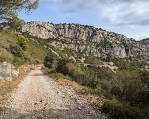 Rando et ambiances provençales à quelques pas d'Ollioules - La Courtine, Ollioules - 21