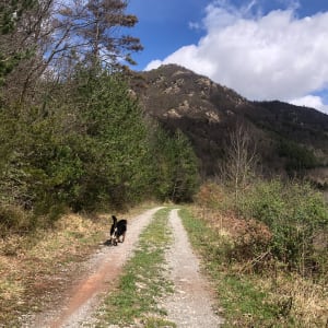 Tours de Cabrenç au départ de Lamanère - Lamanère - 9