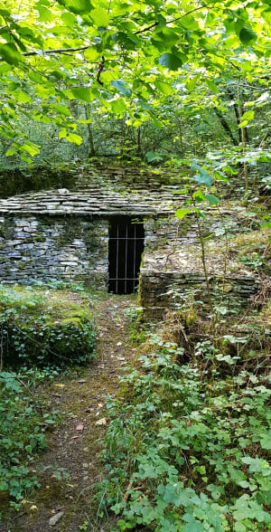 Balade bucolique à la combe à la serpent - Corcelles-les-Monts - 6