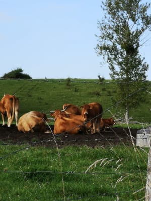 Autour de Presles en Brie - Presles-en-Brie - 11