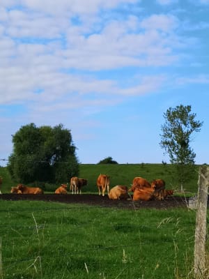 Autour de Presles en Brie - Presles-en-Brie - 12
