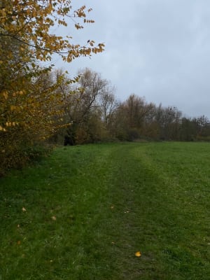 Balade facile sur long de la Seille et le Grand Pâtural - Montigny-lès-Metz - 3