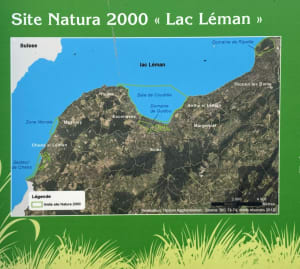Domaine de Coudrée et de Guidou au départ du port de Sciez - Sciez - 4