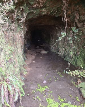 Sentier découverte des mines de Larla - Saint-Martin-d'Arrossa - 10