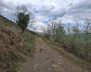 Sentier découverte des mines de Larla - Saint-Martin-d'Arrossa - 11