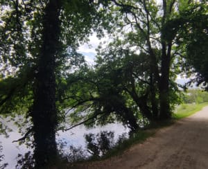 Entre Cesson et plaine de Baud - Rennes - 8