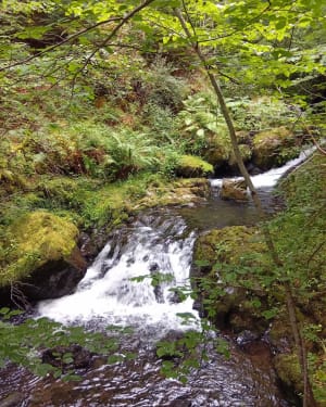 Cascades de Chiloza au départ de Besse - Besse-et-Saint-Anastaise - 20