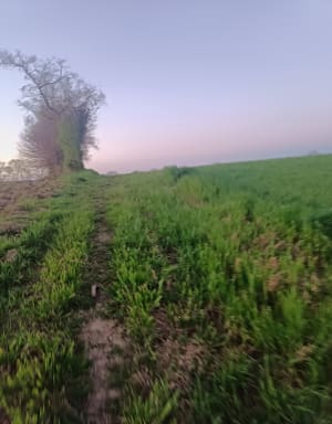 Randonnée la Bouère de l'Evre - Le May-sur-Èvre - 6