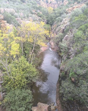 Vélo dans la forêt de la Lieutenante - Roquebrune-sur-Argens - 5