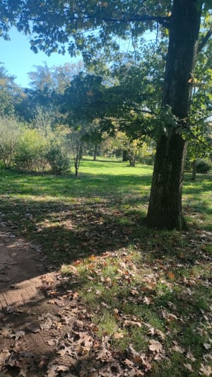 Parc de Parilly et parenthèse feuillue - virginie - 8