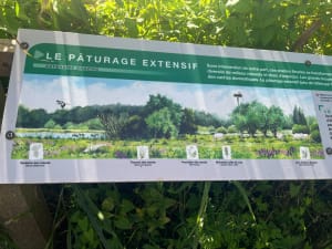 Etang de Romelaëre et niche faunistique - Clairmarais - 39