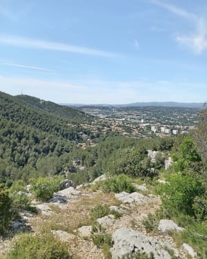 Immanquable randonnée à La Penne-sur-Huveaune - La Penne-sur-Huveaune - 6