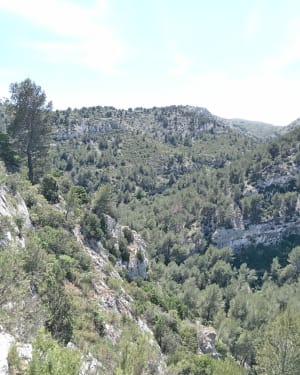 Immanquable randonnée à La Penne-sur-Huveaune - La Penne-sur-Huveaune - 7