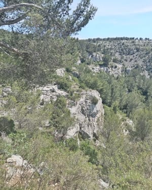 Immanquable randonnée à La Penne-sur-Huveaune - La Penne-sur-Huveaune - 8