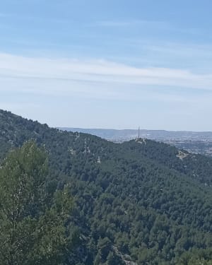 Immanquable randonnée à La Penne-sur-Huveaune - La Penne-sur-Huveaune - 9