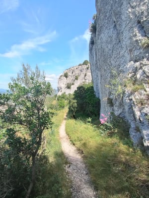Immanquable randonnée à La Penne-sur-Huveaune - La Penne-sur-Huveaune - 10