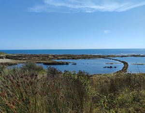 De Tanchet au bois Saint Jean - Les Sables-d'Olonne - 6