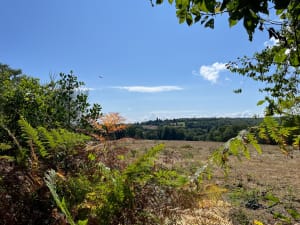 Sentier des loges - Saint Priest sous Aixe - Saint-Priest-Sous-Aixe - 4
