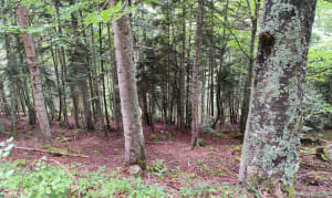 Le Belvédère entre Lançon et Gouaux - Lançon - 12