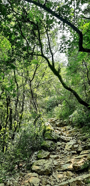 Prachtige kloof van Arcs en kloven van Lamalou - La Garde - 16