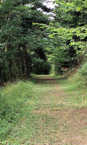 Le Belvédère entre Lançon et Gouaux - Lançon - 17