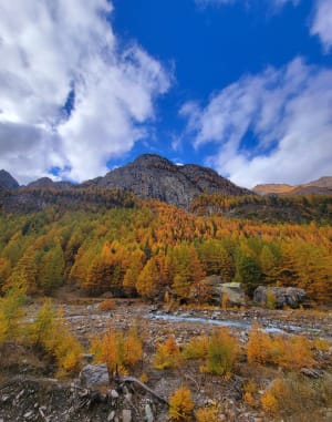 Richting het uitzichtpunt Mont Viso - Abriès-Ristolas - 7
