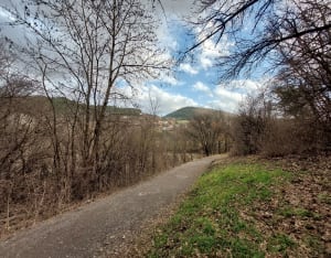 Promenade au bord de la Luye - Brigitte - 4